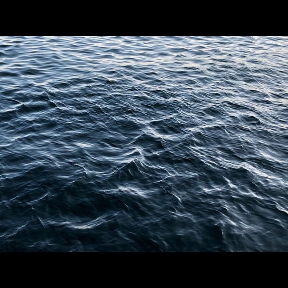 Meet your Posher, Ahmad - Picture 1 of 1